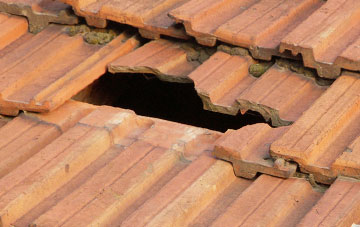 roof repair Hollyhurst